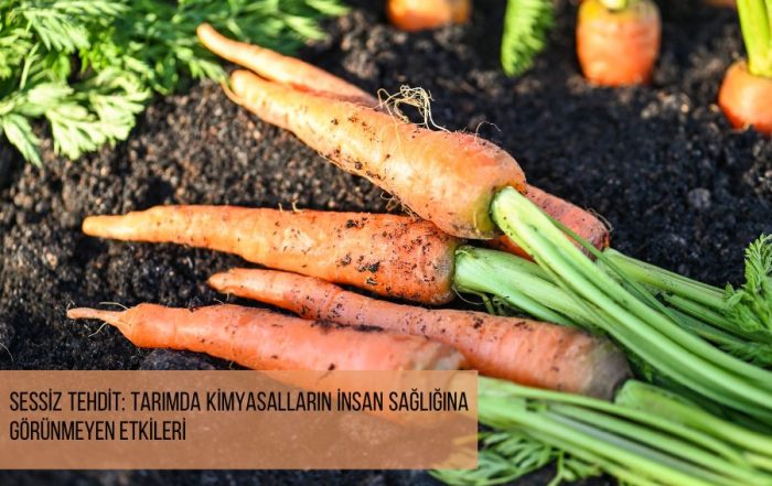 Sessiz Tehdit: Tarımda Kimyasalların İnsan Sağlığına Görünmeyen Etkileri - organik tarımda kimyasal mücadele