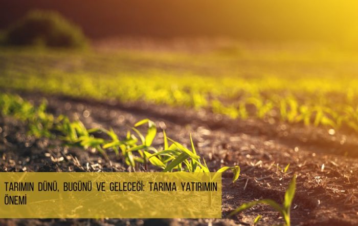 Tarımın Dünü, Bugünü ve Geleceği: Tarıma Yatırımın Önemi - tarım