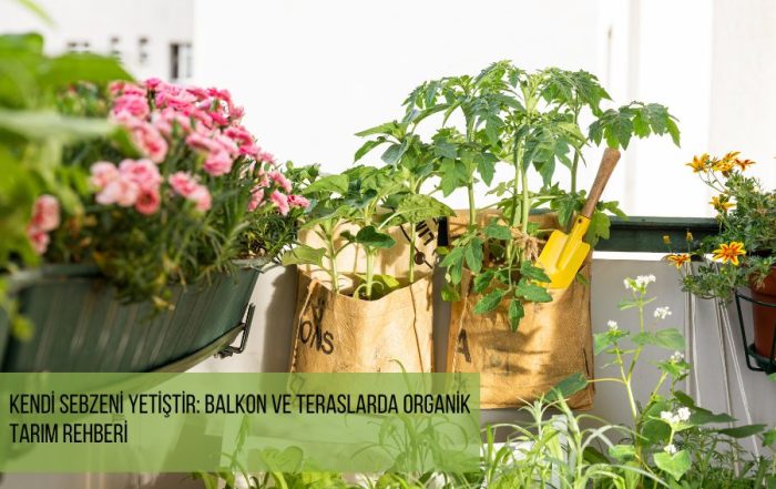 Kendi Sebzeni Yetiştir: Balkon ve Teraslarda Organik Tarım Rehberi - organik tarım